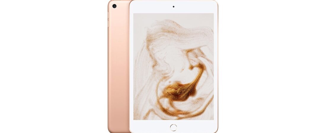 iPad Mini (5th Gen)